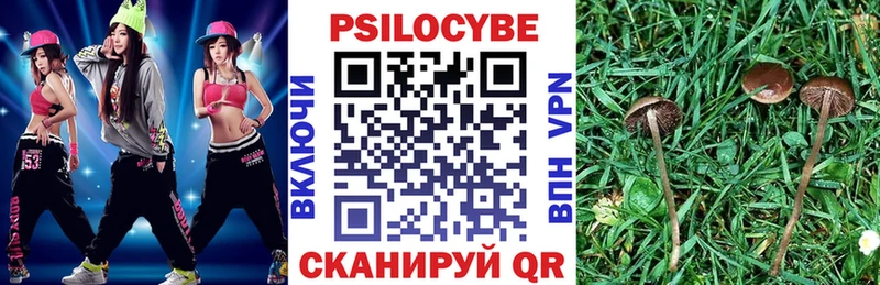 Галлюциногенные грибы Psilocybe  Солнечногорск 