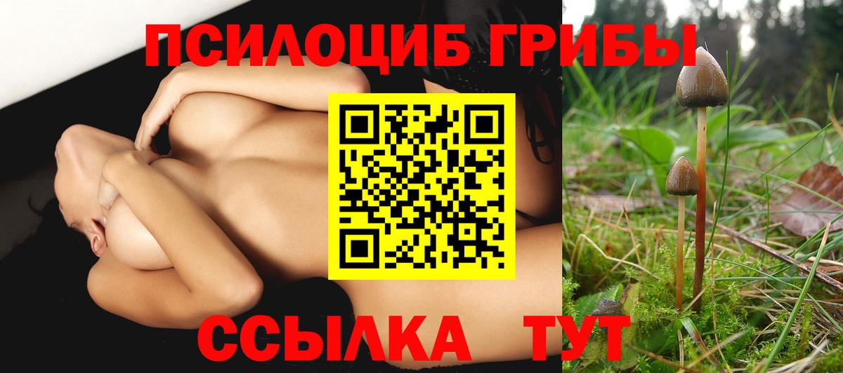 Галлюциногенные грибы Psilocybe  Вход с VPN  Солнечногорск 
