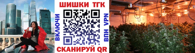 наркота Солнечногорск Каннабис сатива