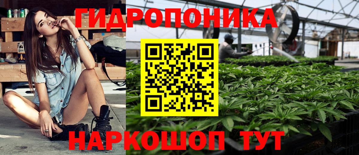 Канабис индика Солнечногорск